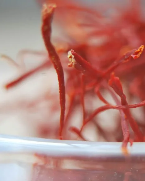 Saffron & Sandalwood Dukhoon